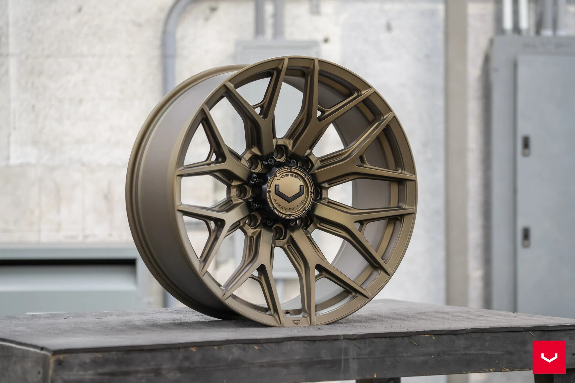 Terra Bronze, 7