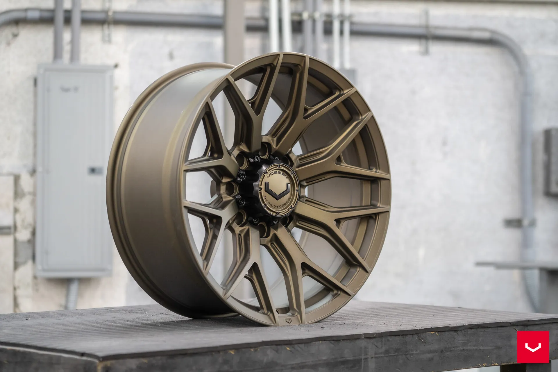 Terra Bronze, 5