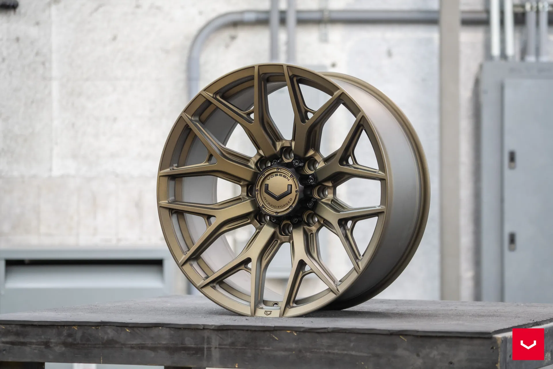Terra Bronze, 15