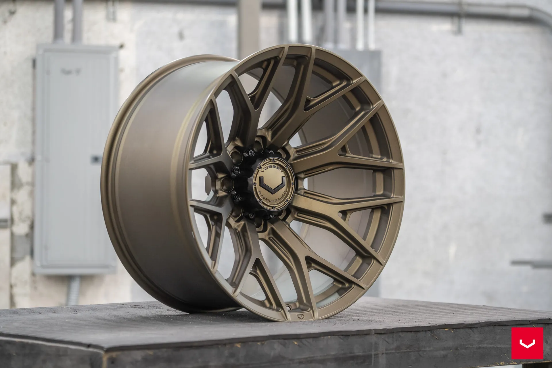 Terra Bronze, 4