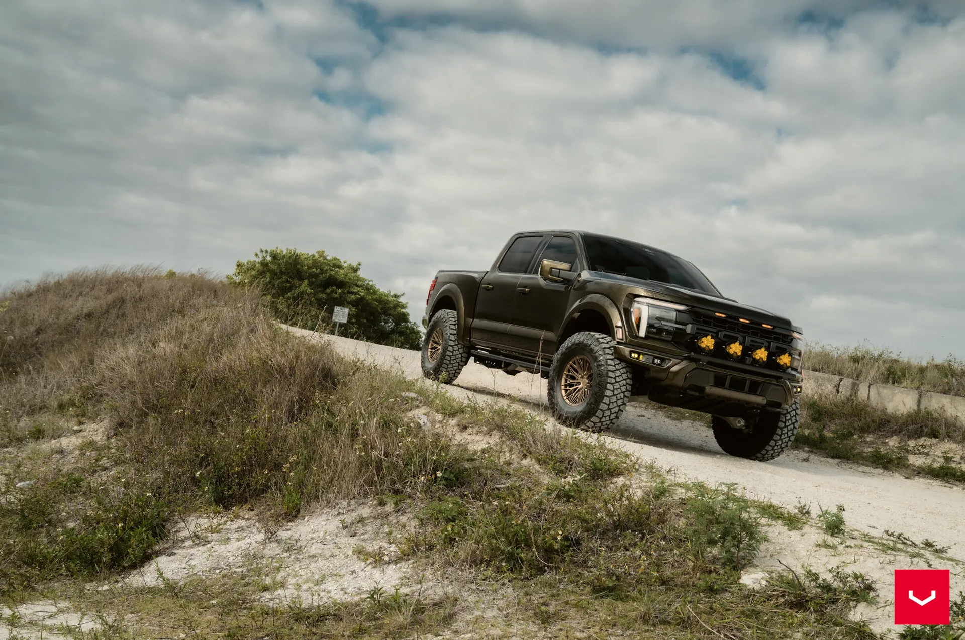 Ford F-150, 11