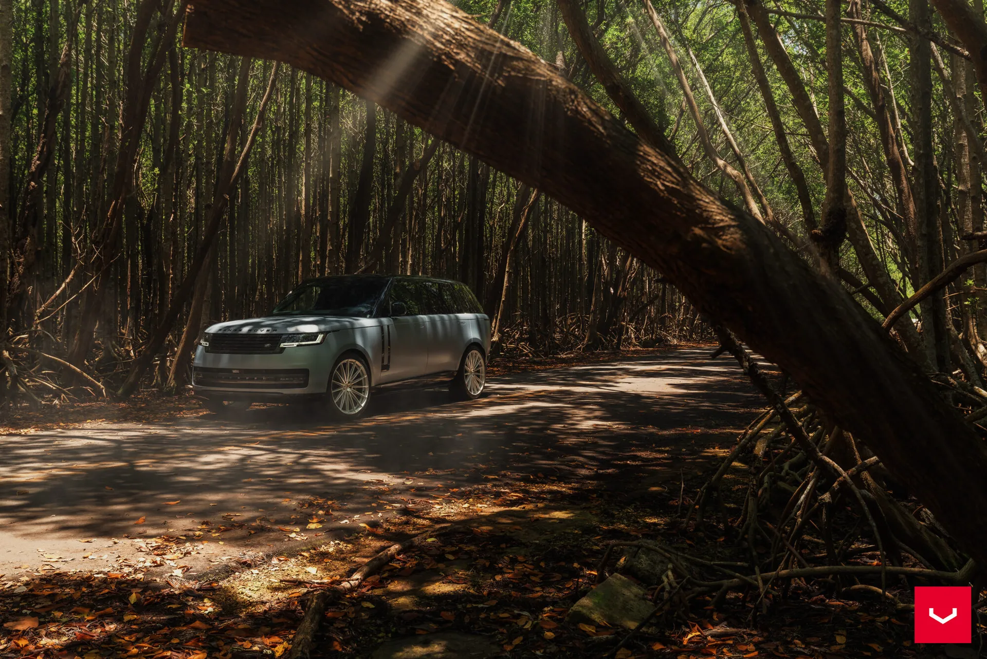 Land Rover Range Rover / Sport, 4