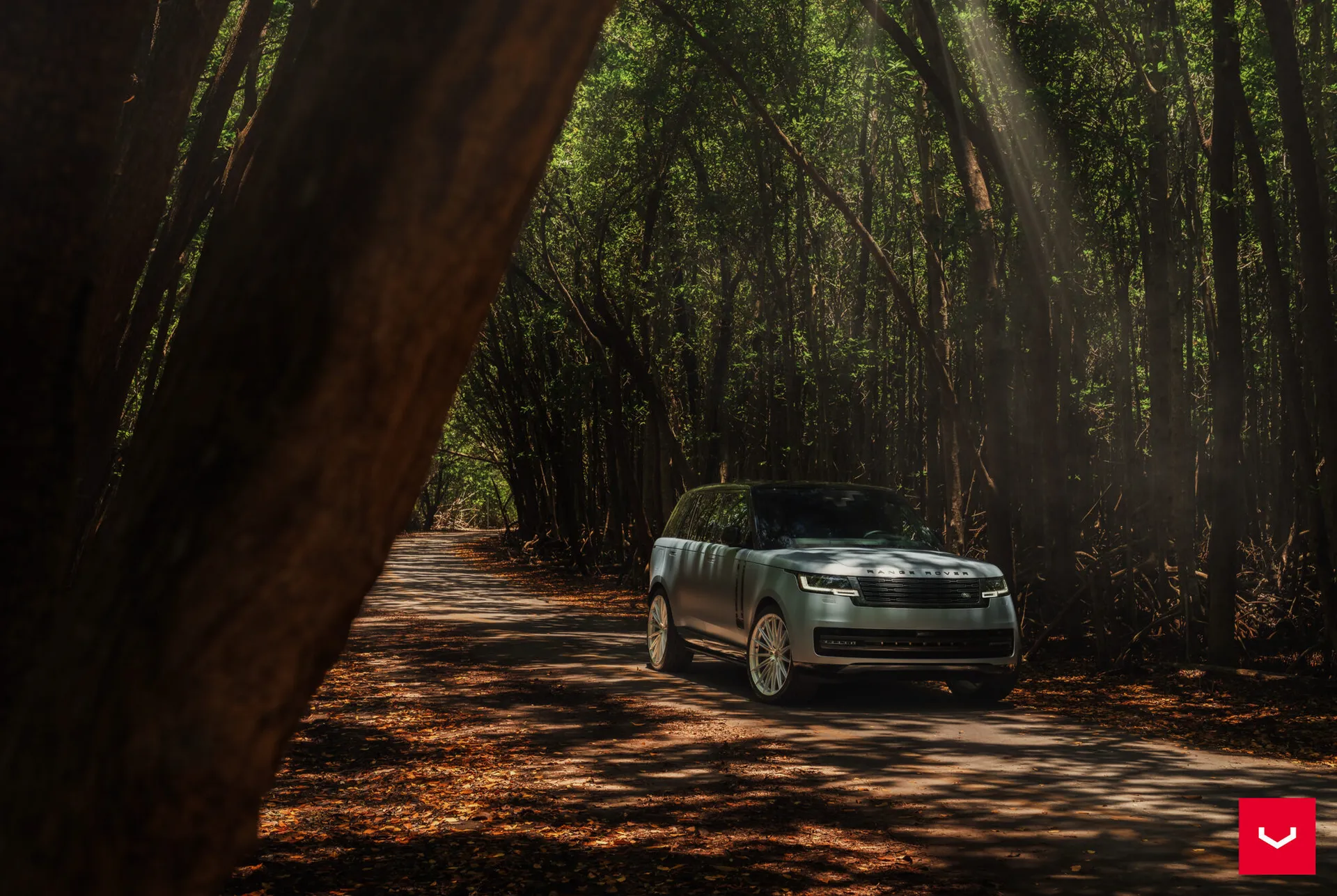 Land Rover Range Rover / Sport, 19
