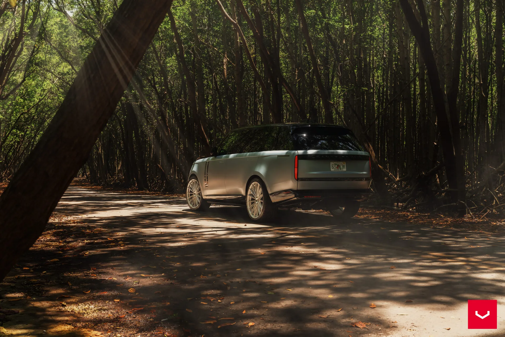 Land Rover Range Rover / Sport, 5