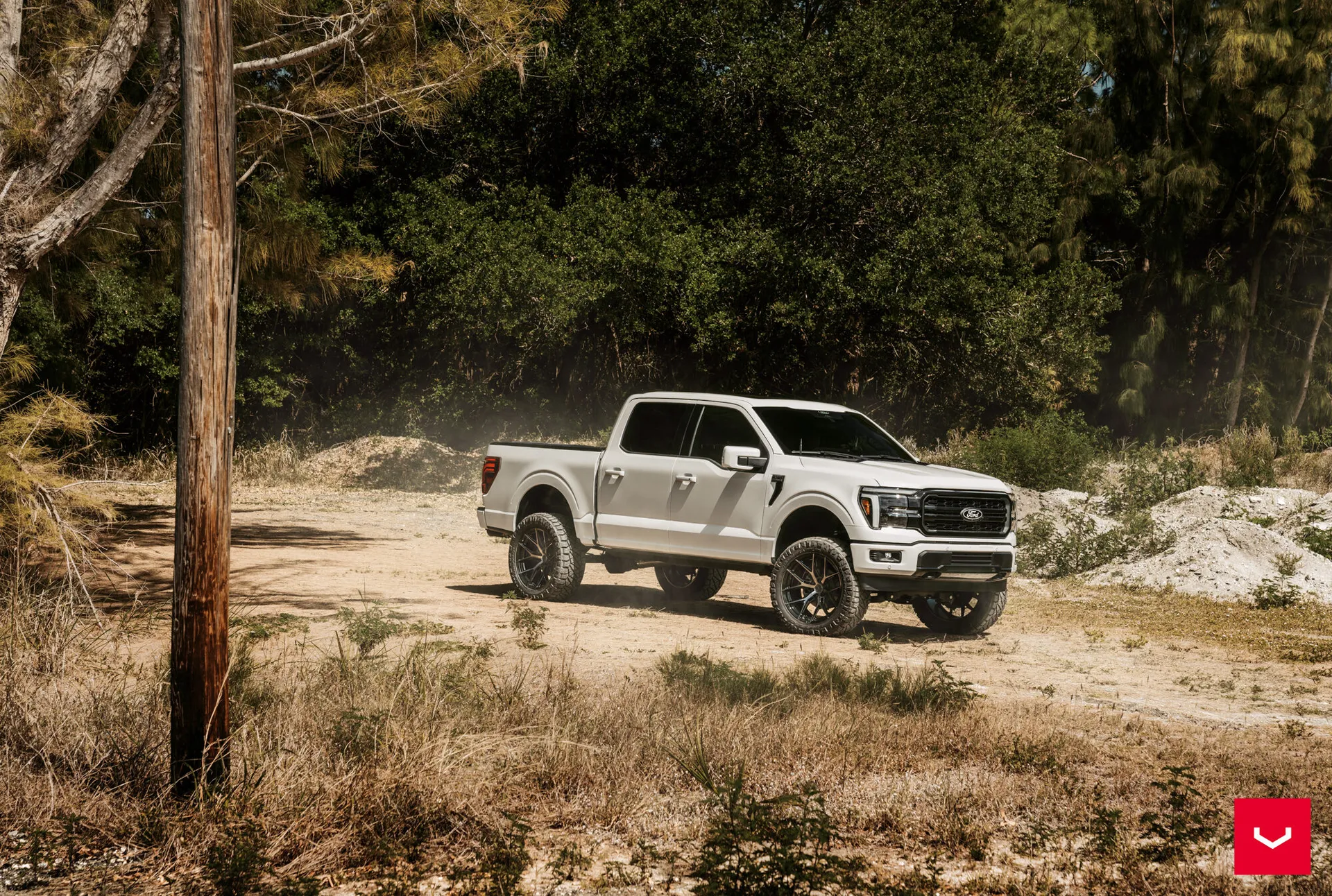 Ford F-150, 11
