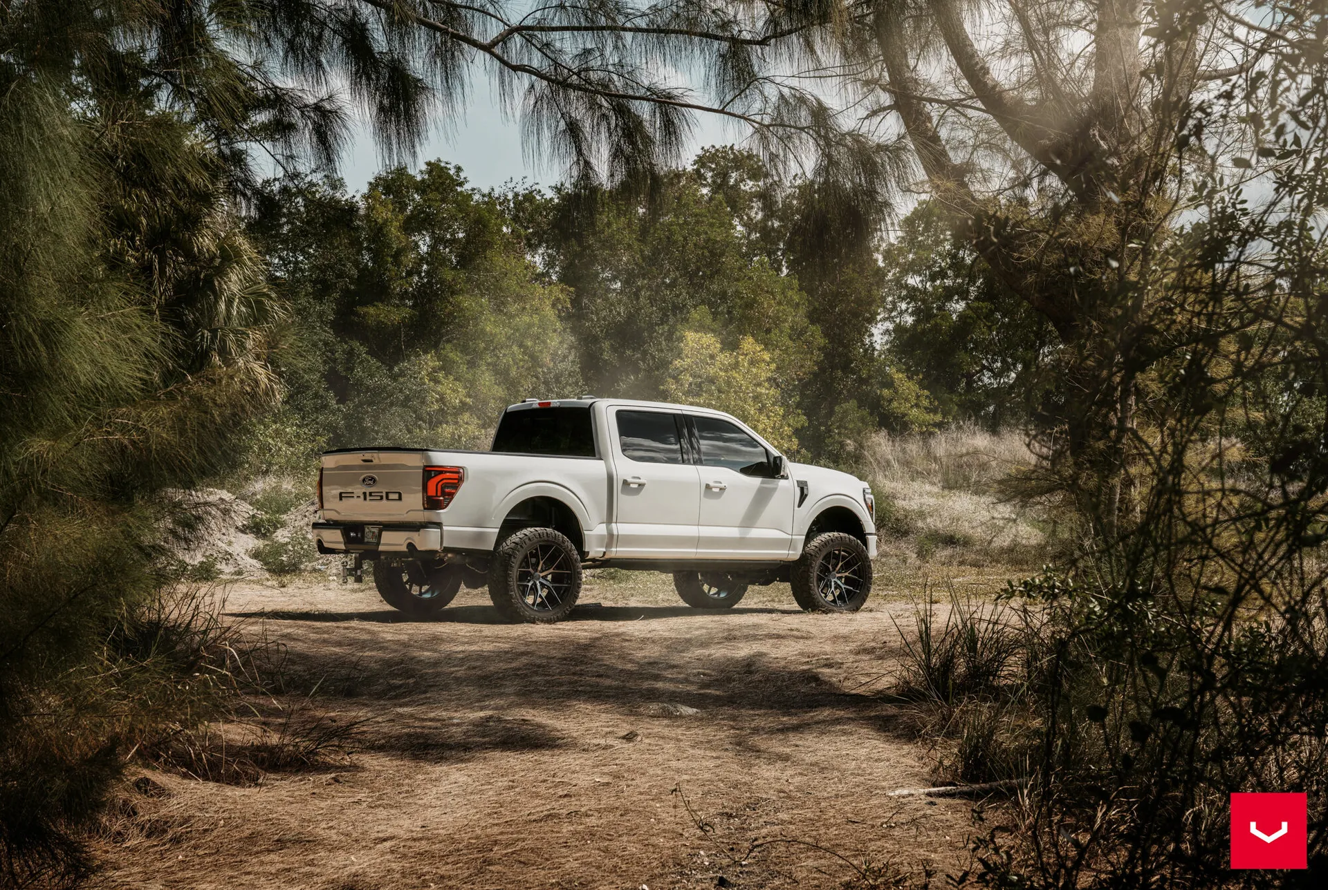 Ford F-150, 12