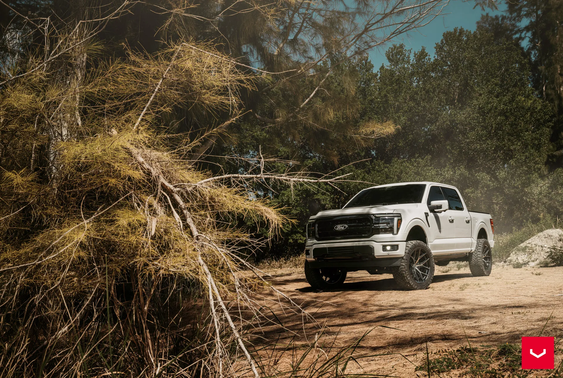 Ford F-150, 8