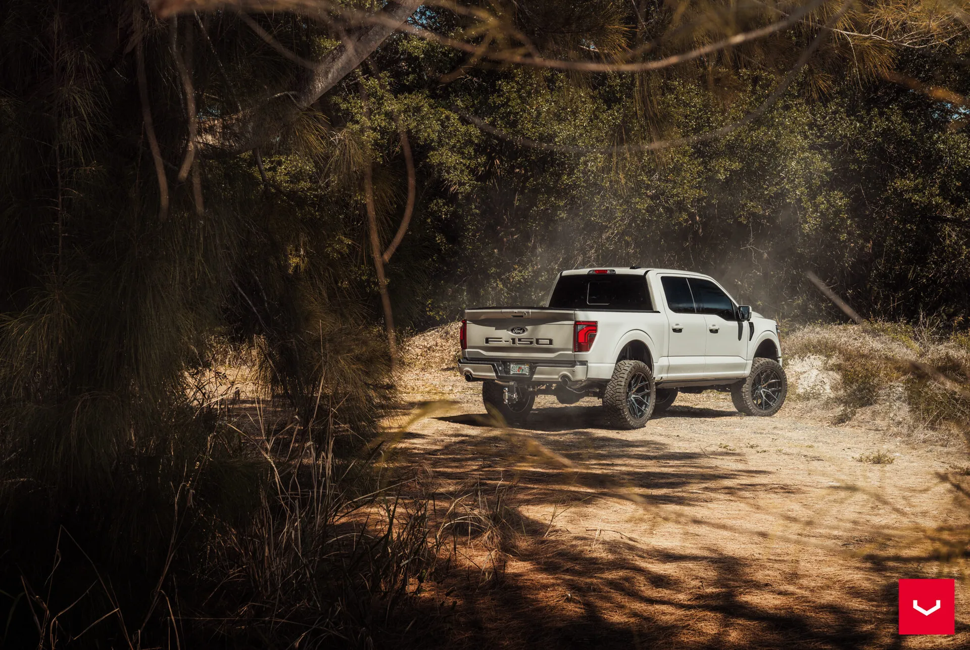 Ford F-150, 2