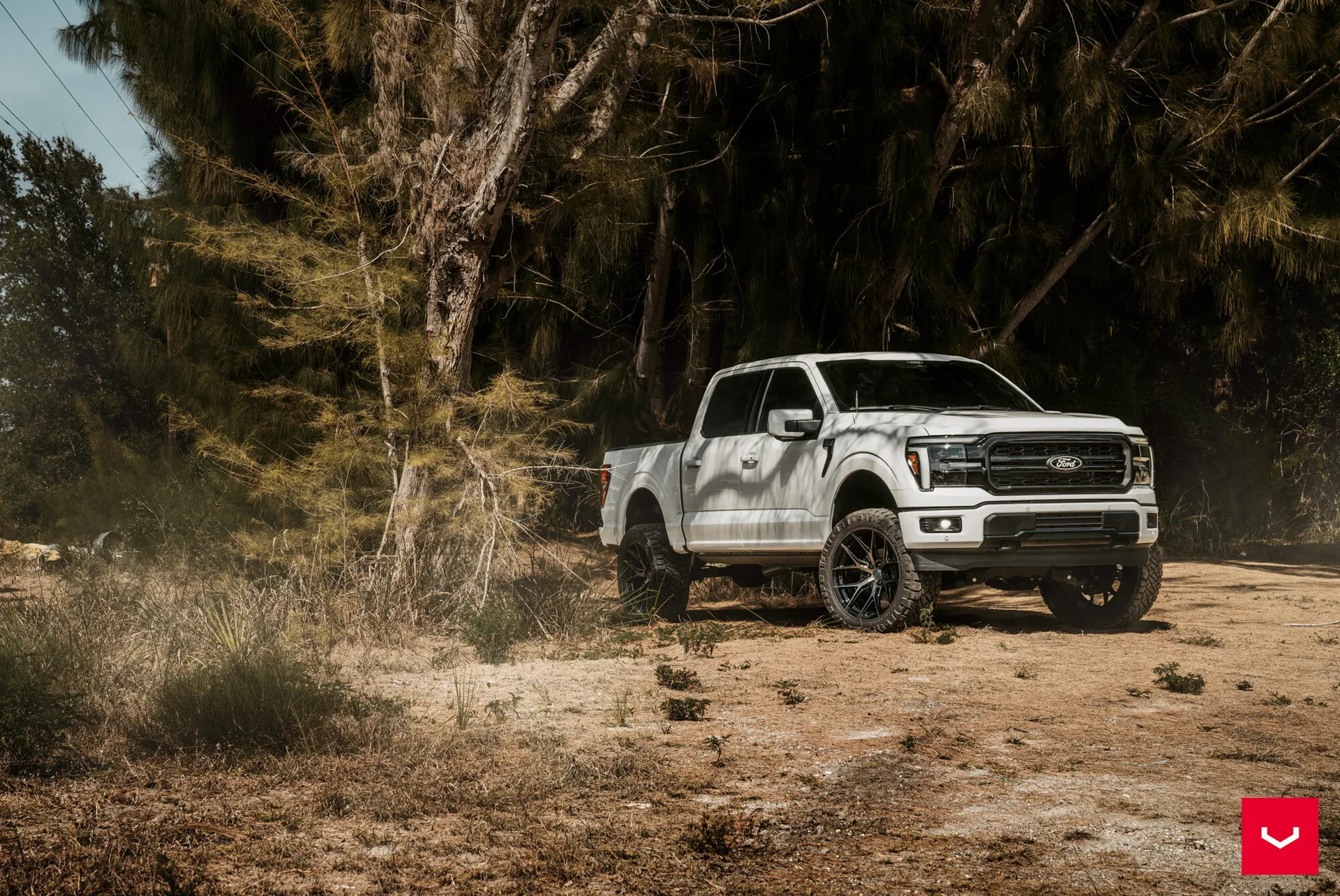 Ford F-150, 5