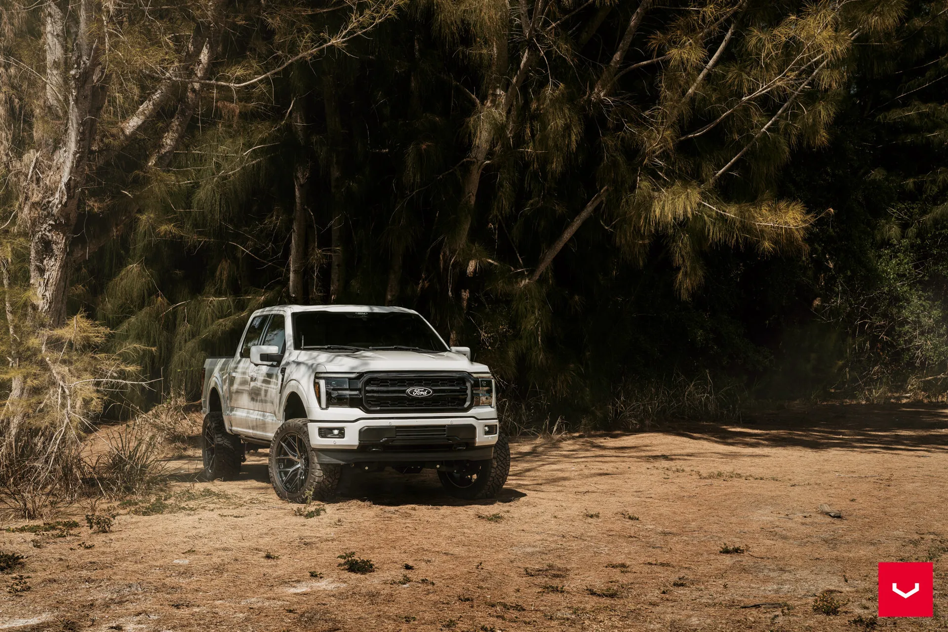 Ford F-150, 1