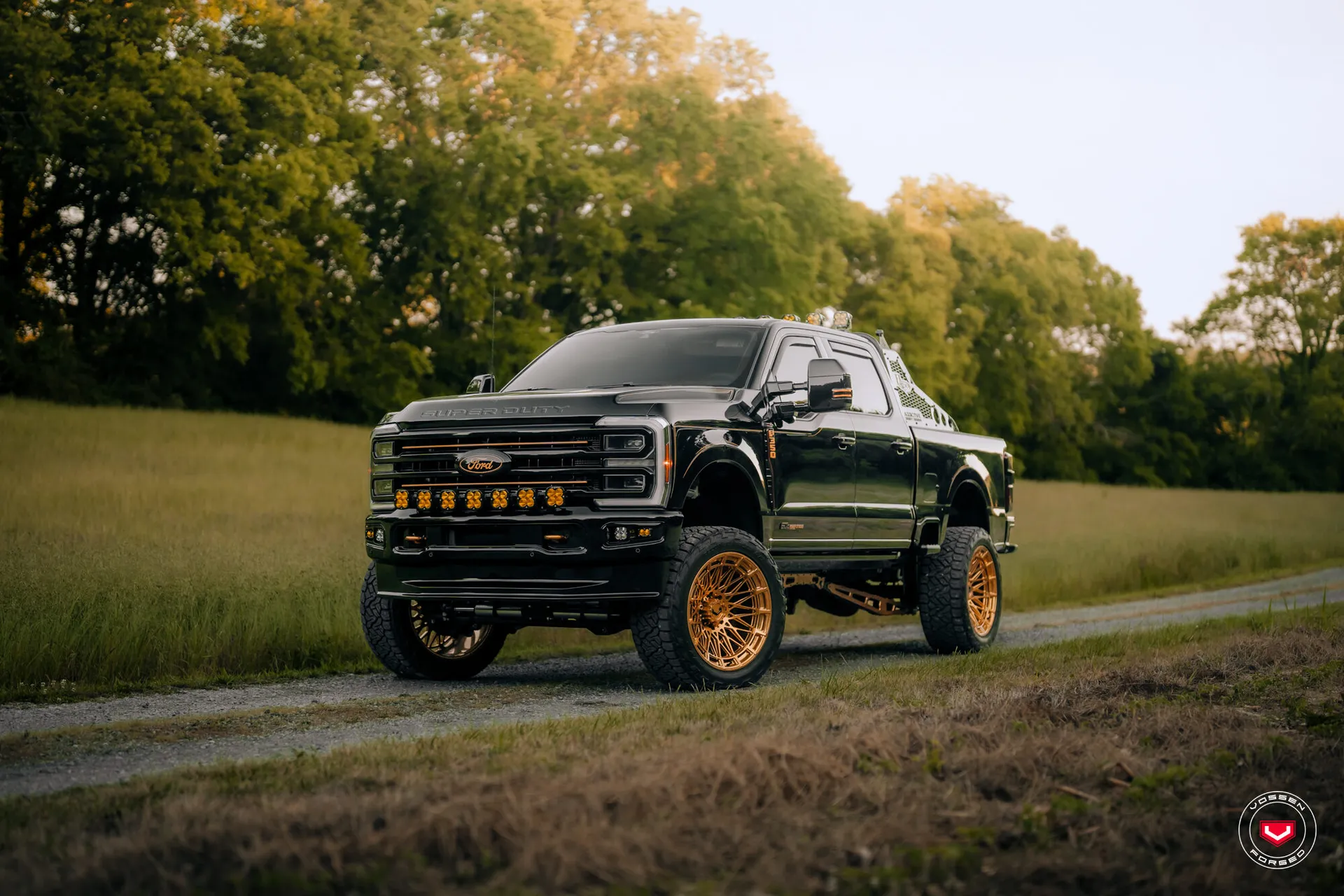 Ford F-250 / F-350, 8