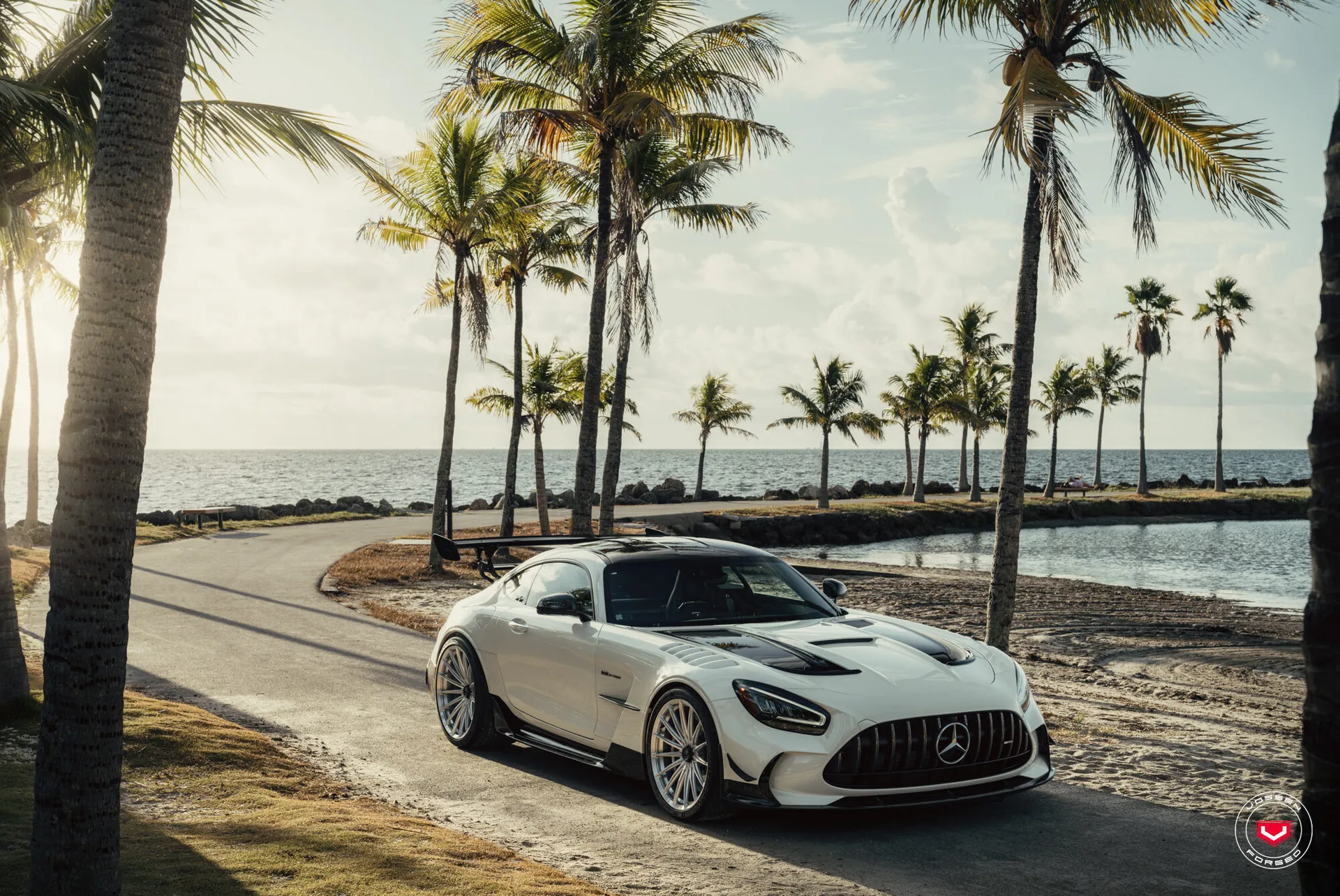Mercedes Benz AMG GT Coupe, 14