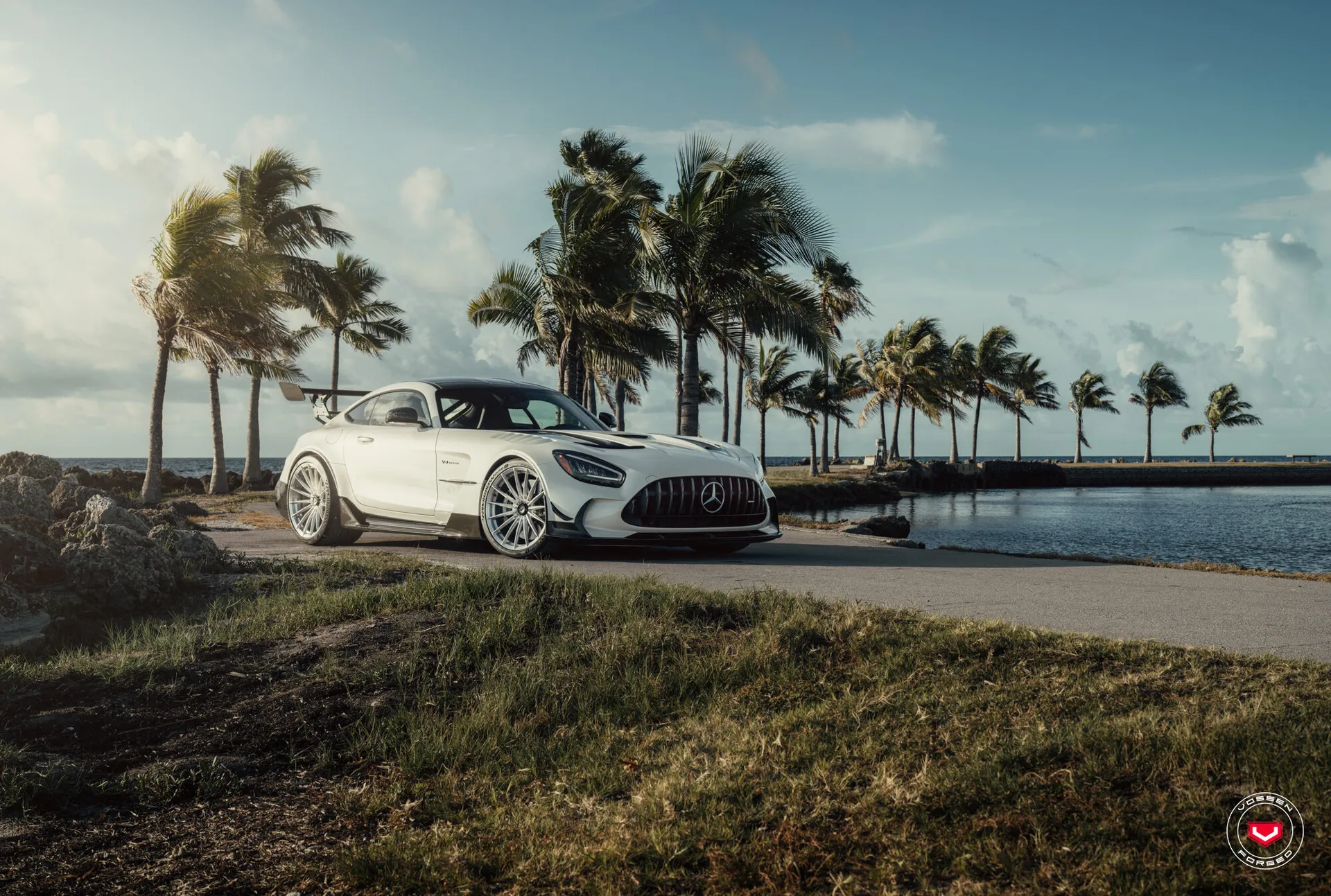Mercedes Benz AMG GT Coupe, 11